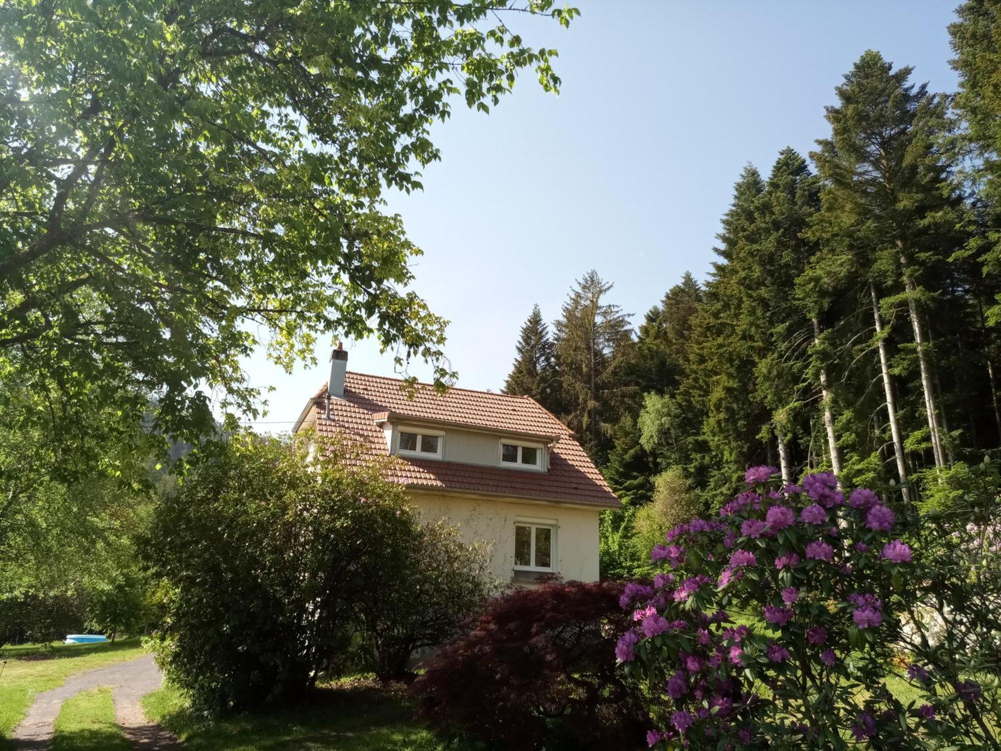 Vosges House 110 M2 In The Heart Of Nature L'Oree Du Bois Saint-Michel-sur-Meurthe Ngoại thất bức ảnh